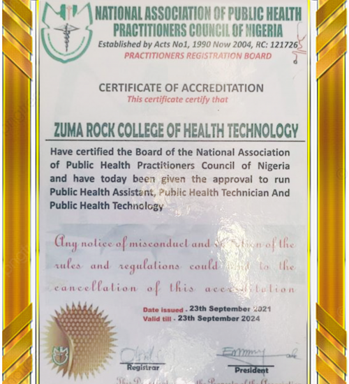 Zuma Rock National Association of Public Health Practitioners Council of Nigeria Certificate